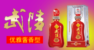 湖南武陵酒有限公司